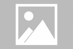 鲨鱼的视频,鲨鱼世界的惊险探秘