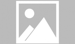 东京黄色视频,揭秘都市夜生活背后的暗流涌动